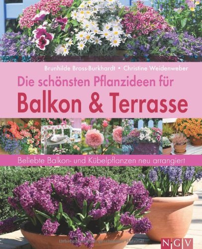 Die schönsten Pflanzideen für Balkon- & Kübelpflanzen: Beliebte Balkon- und Kübelpflanzen neu arrangiert