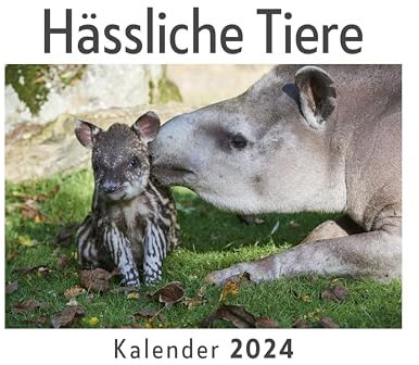 Hässliche Tiere (Wandkalender 2024, Kalender DIN A4 quer, Monatskalender im Querformat mit Kalendarium, Das perfekte Geschenk)