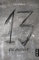 Dreizehn. Die Anstalt. Band 2: Roman (13. Dark Fantasy, Steampunk) (Dreizehn -13-)