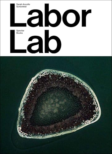 Sarah Ancelle Schönfeld: Labor Lab