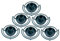 Selections Bottle Top Wild Bird Seed Feeders (Pack of 6)