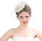 Fascinator Hüte Damen Mädchen Haar Clip Elegant Accessoire Haarklammer Schleier 20er Jahre Kopfschmuck Cocktail Tea Party Kopfbedeckung Pillbox Stirnband Haarnadel Haarschmuck Hochzeit Kirche