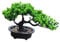 perfk Bonsai Baum für Die Inneneinrichtung Und Gartenbereich, Höhe 19cm