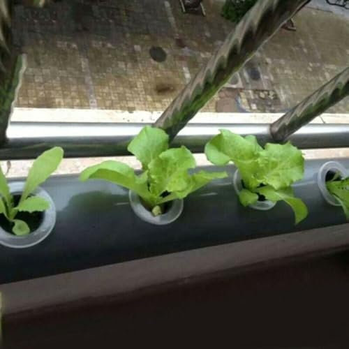 Aeroponic Growth Essentials - Juego de 50 vasos de plástico para plantas con inserciones de esponja eficientes
