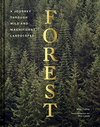 Forest: Walking among trees