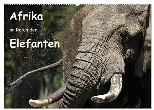 Afrika - im Reich der Elefanten (Wandkalender 2026 DIN A2 quer), CALVENDO Monatskalender: Elefanten - Giganten Afrikas (CALVENDO Tiere)