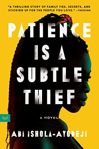 Patience Is a Subtle Thief: A Gripping Nigerian Coming-of-Age Drama of Family Secrets and Class Struggles in Lagos