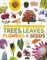 Our World in Pictures: Trees, Leaves, Flowers & Seeds: A visual encyclopedia of the plant kingdom