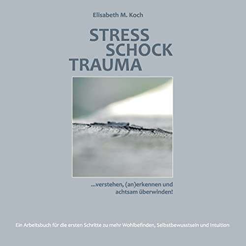 Stress Schock Trauma ... verstehen, (an)erkennen und achtsam überwinden: Ein Arbeitsbuch für die ersten Schritte zu mehr Wohlbefinden, Selbstbewusstsein und Intuition