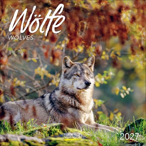 Wölfe 2027: Broschürenkalender mit Ferienterminen. Fasziniernde Bilder von Wölfen. 30 x 30 cm