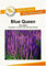 Blumensamen Blue Queen Salbei Portion