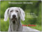 Merchandise for Fans Warnschild - Schild aus Aluminium - 20x30cm Motiv: Weimaraner Security (02)