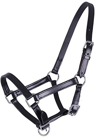 QHP Lederhalfter Halfter Fohlen Chico beige + schwarz (Warmblut-Fohlen, schwarz)