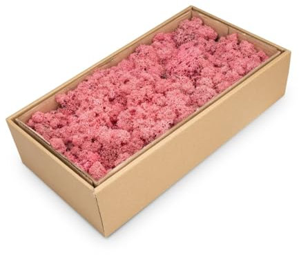NaDeco Islandmoos in Natur und 30 weiteren Farben zur Auswahl | Deko-Moos | Rentier-Moos | Reendier Moos | Bastel-Moos | Dekomoos | Moos-Deko, Farbe:Fuchsia