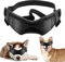 Hund Sonnenbrille, Hundeschutzbrille, Sunglasses for Dog, Hundebrille, Hundebrille UV Wasserdicht, Dog Brille Wasserdichter, Pet-Brillen, für mittelgroße und große Hunde Augenschutz Schwarz