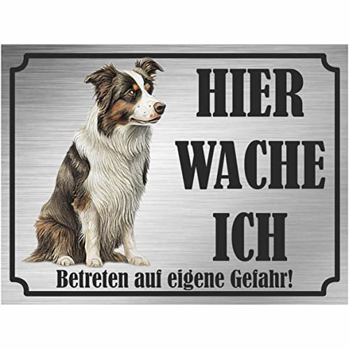 INDIGOS UG - Border Collie - Schild bedruckt - Hier wache ich - Aluverbundplatte Edelstahl Look - ab 20x15 cm - Spruch - Deko Geschenkidee für Ihren Hund - Zaun - Türschild