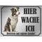 INDIGOS UG - Border Collie - Schild bedruckt - Hier wache ich - Aluverbundplatte Edelstahl Look - ab 20x15 cm - Spruch - Deko Geschenkidee für Ihren Hund - Zaun - Türschild
