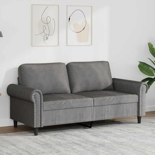 mtlskopl 3-Sitzer-Sofa 212x77x80 cm Samt Dunkelgrau mit Metallgestell Komfortable Couch mit weicher Polsterung Modernes kleines Schlafsofa für Wohnzimmer Jugendzimmer Büro