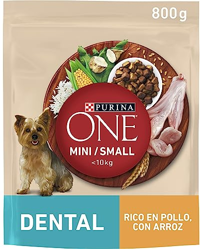 Purina ONE Mini <10kg Pienso para Perro pequeño con Cuidado Dental con Pollo y Arroz, 8 bolsas de 800g