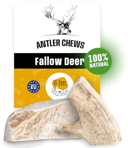 RF - DEER Damhirschgeweih, Natürlicher Geweih-Kausnack für Hunde Größe XL Soft - 1 Stück - Gesunder Kauspielzeug, Kauknochen für Genuss und Zahnpflege, Erhältlich in verschiedenen Varianten
