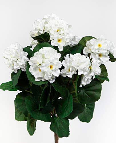 Geranie 38cm weiß -ohne Topf- ZF Kunstpflanzen künstliche Blumen Pflanzen Kunstblumen … (weiß)