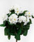 Geranie 38cm weiß -ohne Topf- ZF Kunstpflanzen künstliche Blumen Pflanzen Kunstblumen … (weiß)