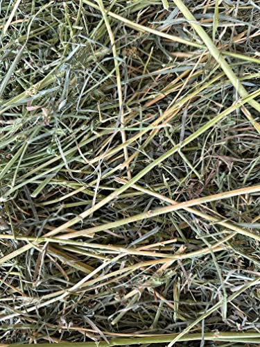 Heu Mix Luzerne für Pferde Kaninchen knackig & grün (ca. 15kg)