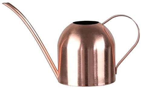 NESPIQ Regadera Plantas Flores Regadera para Plantas De Interior, Regadera De Acero Inoxidable con Pico Largo para Jardín De Plantas Al Aire Libre Regadera De Interior(A,8.9 * 22 * 10.1cm)