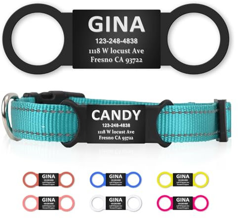 Personalized Dog and Cat Tag, Clear Without Noise,Stainless Steel Colored Cat Dog Name Collar Tag, Slide on Pet ID Tags, Engraved Tags Personalized for Pets (Black+Black)