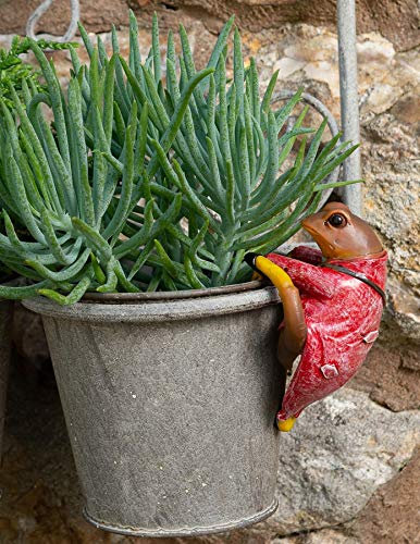 Pot Buddies Beatrix Potter Mr. Jeremy Fisher Figure Plant Pot Hanger - Handmade Garden Ornament - Decorative Flower Planter Figurine