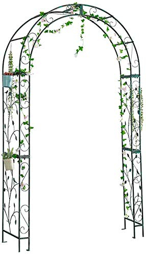 Arche de Jardin Pergola Pavillon Rosiers Arche de Jardin en métal sur Pied avec Tour de Plantes de Vigne Rose terrasse extérieure Plante grimpante soutenant Le Parc de pavillon Noir GCSQF210507