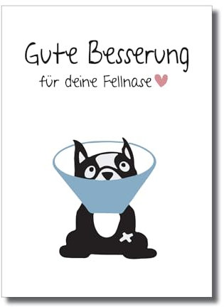 Karte, Grußkarte, Postkarte, Hund, Dog, French Bulldog, Gute Besserung
