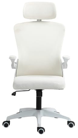 Panana Modern Office Ergonomic Desk Chair with Flip-up Armrest Executive Swivel Computer Chair (High Back Beige Mesh Back)