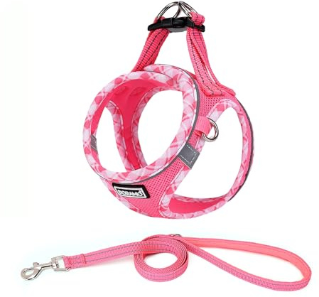 DORAMIO Harnais Chien, Step-in Harnais pour Chiens avec Laisse, Réfléchissant Respirant Mesh Doux Confort Réglable Gilet Harnais pour Petite Chiens Chats pour Marcher Courir (Fuchsia, XL)