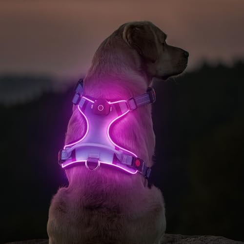 DAISTERN von BSWAY LED Hundegeschirr Größe L mit Griff, Aufladbares Leuchtendes Hundegeschirr, Brustgeschirre Hunde mit 3 Blinkmodi, Reflektierende Streifen für kleine und Mittelgroße Hunde