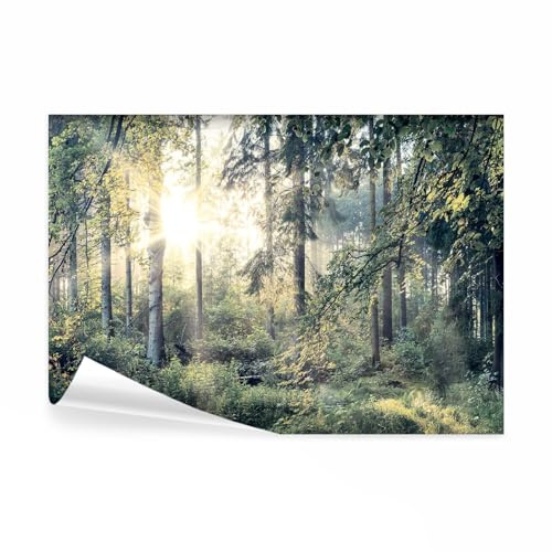 decomonkey Fototapete Wald, 300x210 cm, XL, Landschaft Baum Natur, Tapete | Wandbild, Bild, Tapeten, Wandtapete