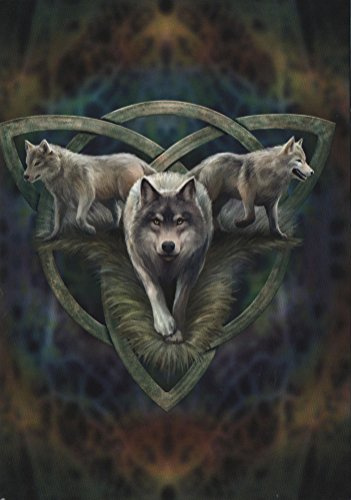 Wolf Trio Fantasy Art Anne Stokes Greeting Card