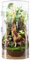 zjhukfmc Ransparent Terrarium en verre pour reptiles 20/29,2/30 cm, facile à nettoyer et durable, avec couvercle en verre acrylique pour araignées, petit terrarium avec porte d'entrée