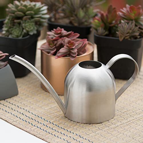Mumusuki Edelstahl Gießkanne Topf Zimmerpflanzen Langer Auslauf Gießkanne Modern Style Gießkanne(500 ml)