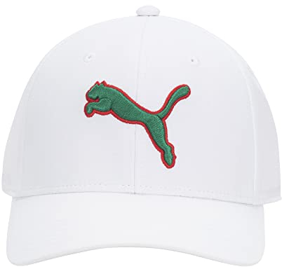 PUMA Unisex-Erwachsene Evercat Dillon Stretch Fit Cap Baseballkappe, Weiß/Grün, L/XL