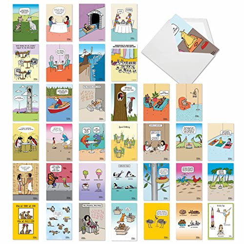 NobleWorks 36 Assorted Funny Birthday Cards Bulk Box Set with Envelopes, Rich Humor Cartoons Greeting Card Variety Pack for Men and Women (36 Designs, 1 Each) Celebrations AC7741BDG-B1x36