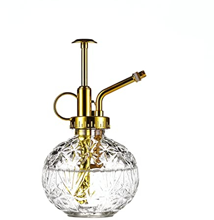Eidoct Glass Plant Mister Spray Bottle, 6.5'' Clear Glass Water Spray Bottle with Gold Top Pump Small Watering Can, Small Plant Sprayer Mister for House Plant, Clear+Gold (Clear+Gold E), 6.5''*3.15''
