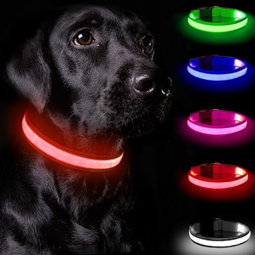 Nepfaivy Light Up Collar - Adjustable Flashing Dog Collar Lights for Night, LED with 3 Flash Modes for Large, Medium & Small Dogs (Red)
