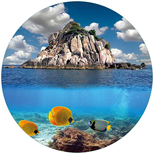 Wallario Glasbild rund Exotische Fische im Meer - Rund, 50 cm Durchmesser Wandbild Glas in Premium-Qualität: Brillante Farben, freischwebende Optik