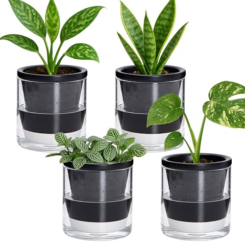 D'vine Dev 374-A-4 Lot de 4 pots de fleurs en terre cuite noire à arrosage automatique de 10,2 cm avec tasse cylindrique en verre