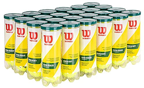 Wilson Championship Regular Duty Tennis Ball Fall