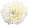 Cheerlife 2 Stück Frauen Baby Mädchen Kinder Blumen Ansteckblume Haarblume Haarspangen Set Schleife Haarschmuck Pfingstrose Beige