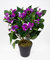 Impatiens/Fleißiges Lieschen 38cm im Topf JA künstliche Blumen Kunstpflanzen Kunstblumen (Lila)