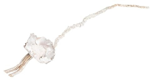 NaDeco Coco-Flower-Zweig in Weiß, Größe ca. 25-35cm | Deko-Zweig mit Blüte | Weißer Dekozweig | Dekoast | Bohemian Deko | Hochzeitsdeko | Boho-Deko | Naturdeko