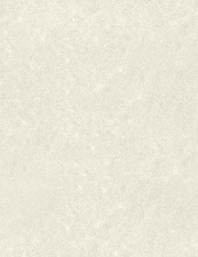 LuxPaper Papierpapier zum Basteln und Drucken, cremefarben, Pergamentpapier, für Scrapbooking und Bürobedarf, 21,6 x 27,9 cm, 50 Stück (cremefarben)